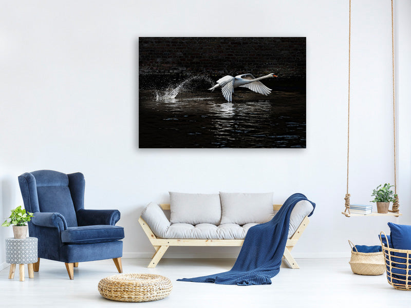 panoramic-3-piece-canvas-print-flying-swan