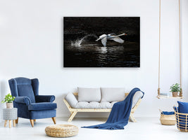 modern-3-piece-canvas-print-flying-swan