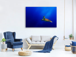 5-piece-canvas-print-flying