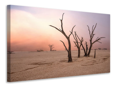 modern-4-piece-canvas-print-fog-in-deadvlei