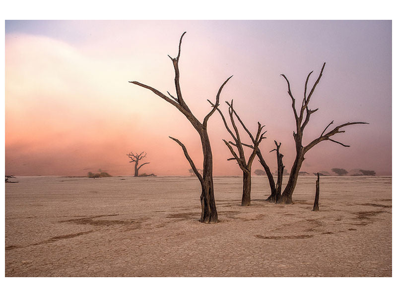 modern-4-piece-canvas-print-fog-in-deadvlei