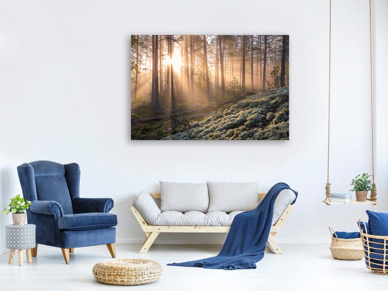canvas-print-foggy-morning-in-the-forest