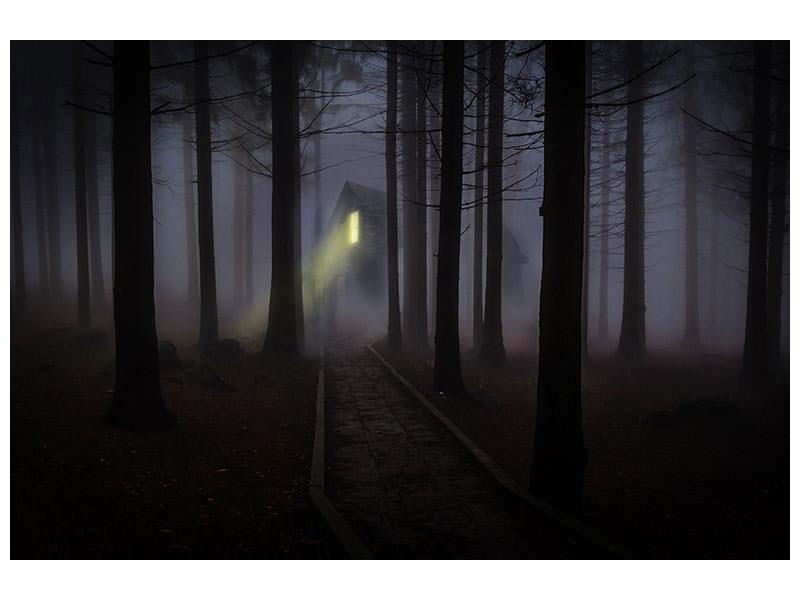 4-piece-canvas-print-fog-in-the-forest