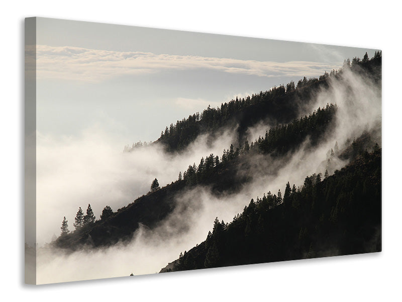 5-piece-canvas-print-fog-in-the-woods