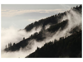 5-piece-canvas-print-fog-in-the-woods