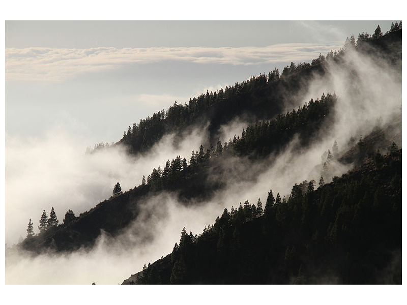 modern-3-piece-canvas-print-fog-in-the-woods