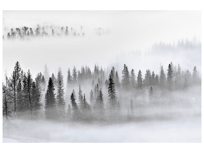 panoramic-3-piece-canvas-print-foggy-forest