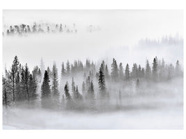 5-piece-canvas-print-foggy-forest