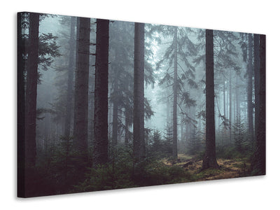 5-piece-canvas-print-forest-in-the-fog