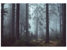 4-piece-canvas-print-forest-in-the-fog
