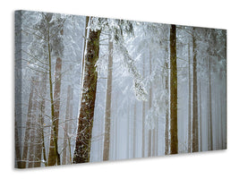 panoramic-3-piece-canvas-print-forest-in-winter