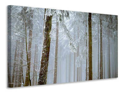 panoramic-3-piece-canvas-print-forest-in-winter