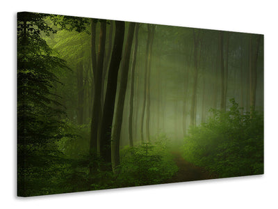 5-piece-canvas-print-forest-morning