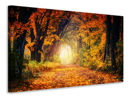 3-piece-canvas-print-forest-walk