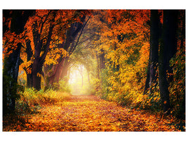 modern-4-piece-canvas-print-forest-walk