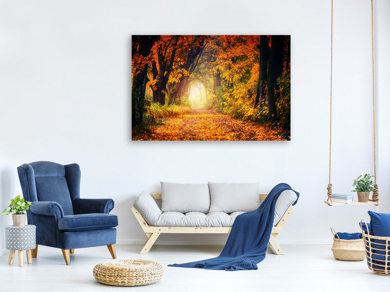modern-4-piece-canvas-print-forest-walk