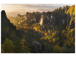 4-piece-canvas-print-forest-whispers