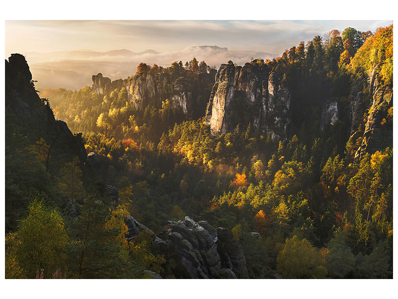 3-piece-canvas-print-forest-whispers