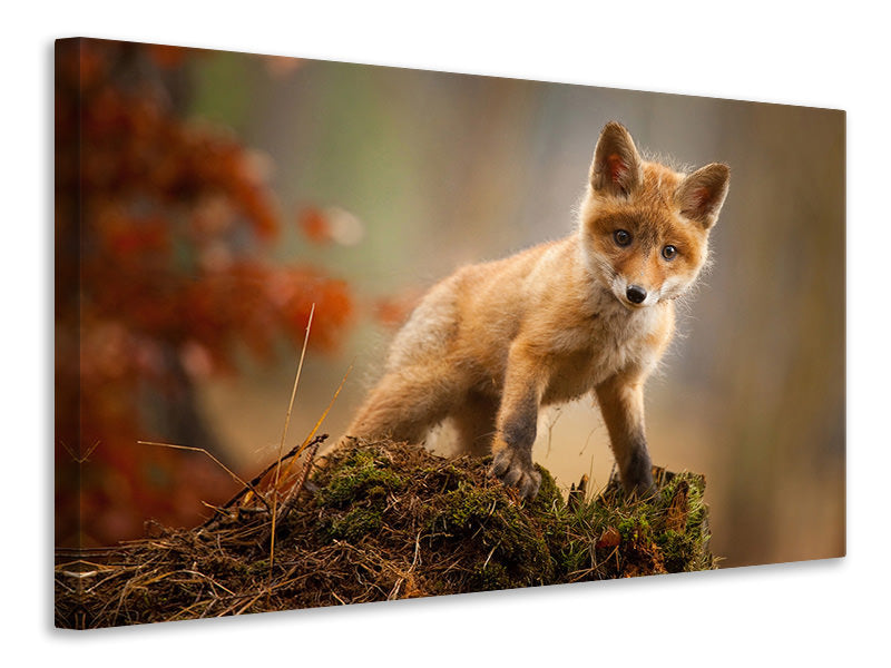 3-piece-canvas-print-fox