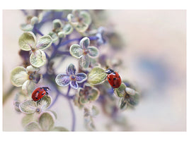 5-piece-canvas-print-fragile