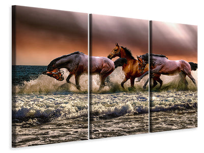 canvas-print-freedom-for-horses