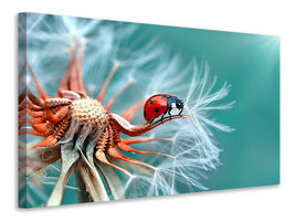 panoramic-3-piece-canvas-print-freedoom