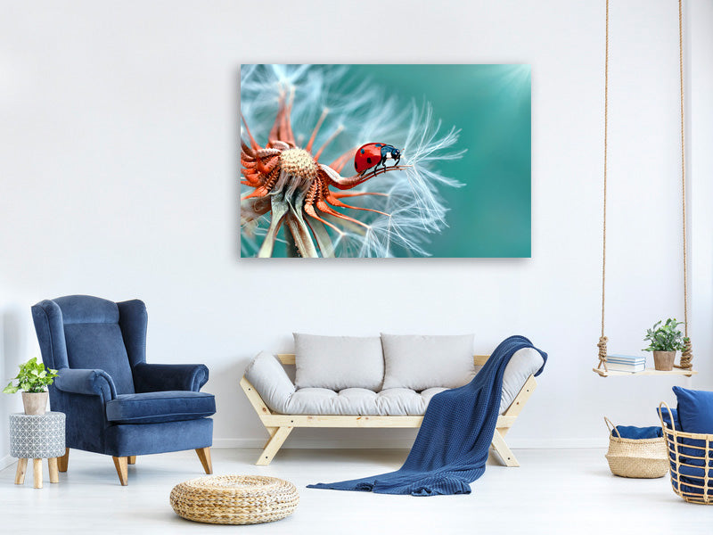 panoramic-canvas-print-freedoom