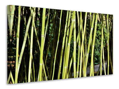 modern-3-piece-canvas-print-fresh-bamboo