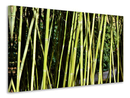5-piece-canvas-print-fresh-bamboo