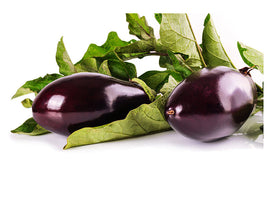 5-piece-canvas-print-fresh-eggplants