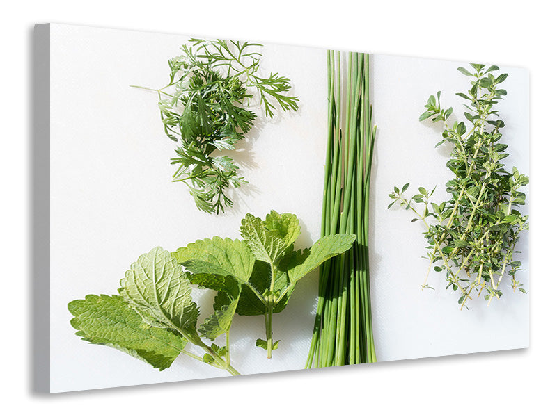 4-piece-canvas-print-fresh-herbs