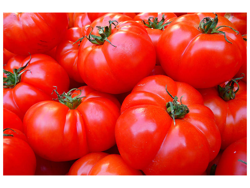modern-3-piece-canvas-print-fresh-tomatoes