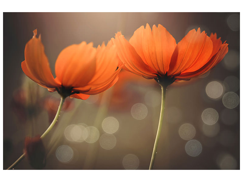 3-piece-canvas-print-friends