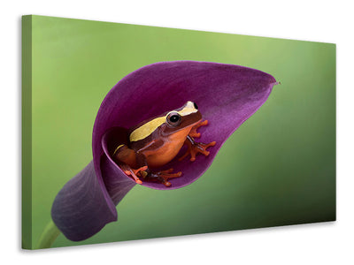 3-piece-canvas-print-frog-cubby-house