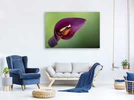 modern-3-piece-canvas-print-frog-cubby-house