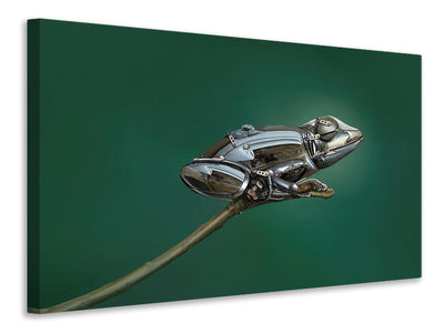 modern-4-piece-canvas-print-frog