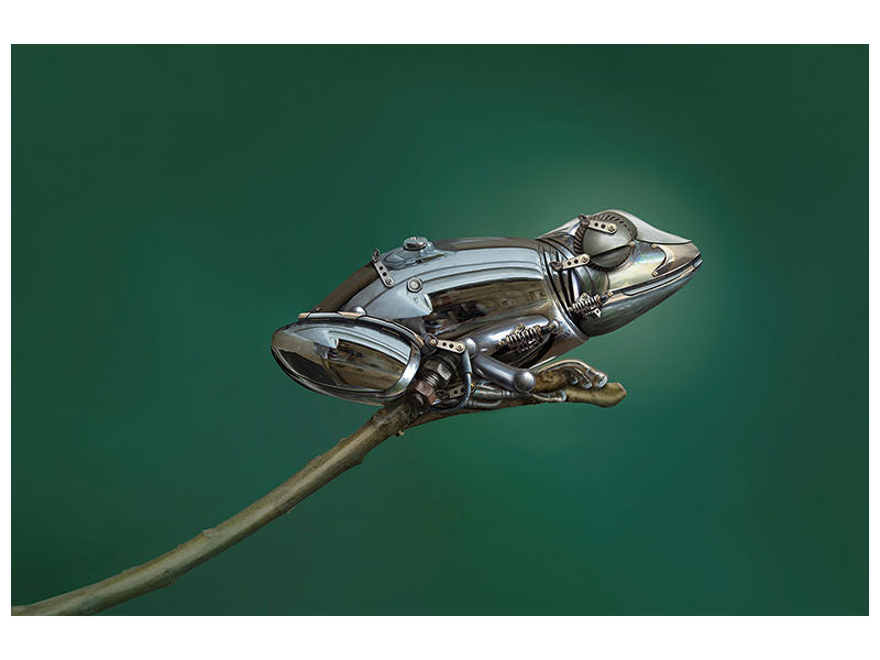 3-piece-canvas-print-frog
