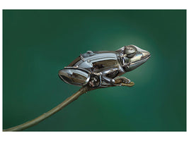 4-piece-canvas-print-frog