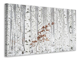 panoramic-3-piece-canvas-print-from-white
