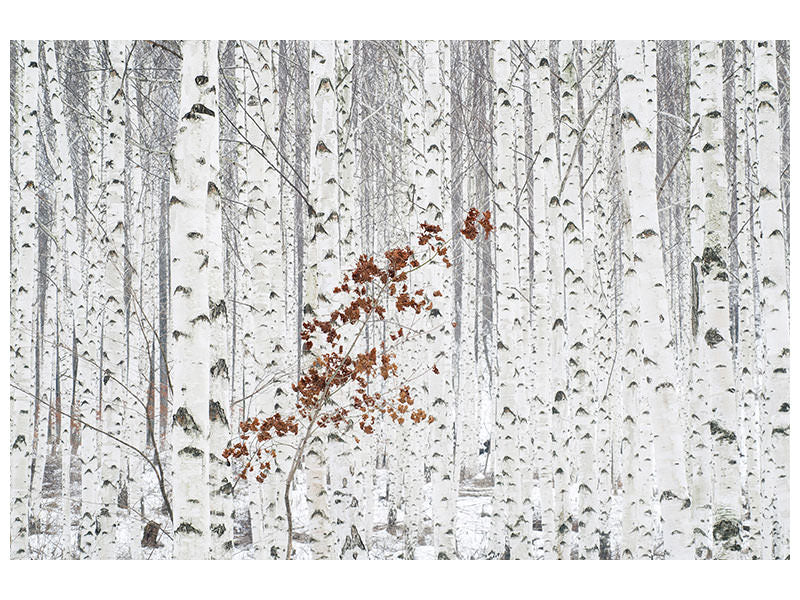 panoramic-3-piece-canvas-print-from-white