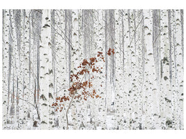 5-piece-canvas-print-from-white