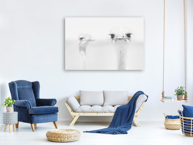 3-piece-canvas-print-funny-ostrich