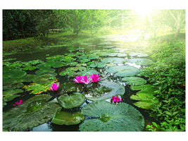 modern-4-piece-canvas-print-garden-pond