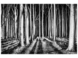 panoramic-canvas-print-ghost-forest