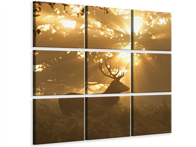 canvas-print-ghost-of-the-forest