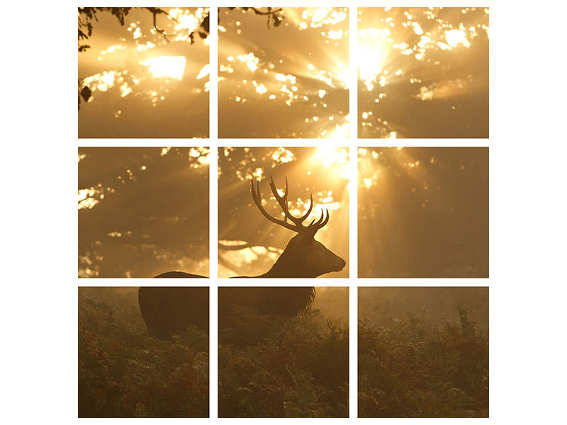 4-piece-canvas-print-ghost-of-the-forest