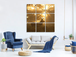 canvas-print-ghost-of-the-forest