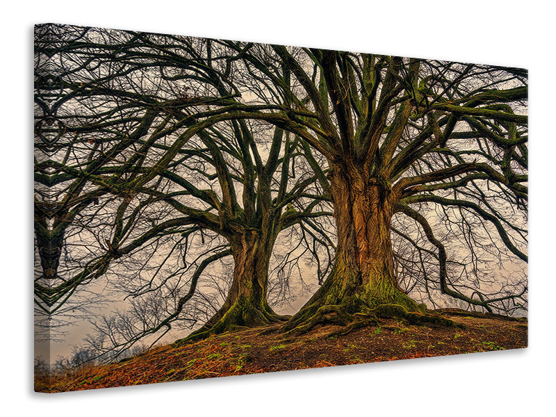 modern-4-piece-canvas-print-ghostly-trees