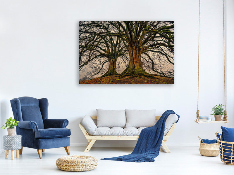 modern-4-piece-canvas-print-ghostly-trees