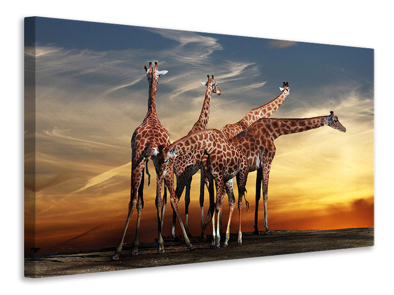 3-piece-canvas-print-girafe-at-sunset